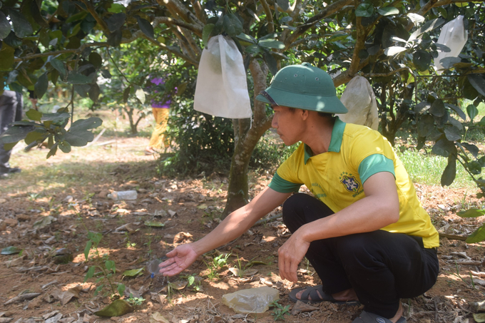 4-145715_349.jpg Hệ thống tưới tự động trong vườn bưởi của anh Vinh. Ảnh: V.Đ.T.